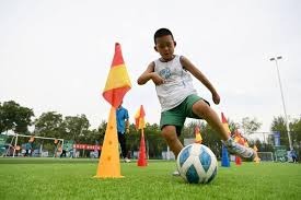 日本职棒：阪神虎队在 2023 年击败欧力士，夺得时隔 38 年的“日本一”